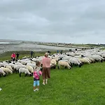 Haus Juist-norddeich Ferienhaus Norden
