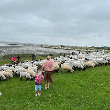 Haus Juist-norddeich Сasa de vacaciones Norden
