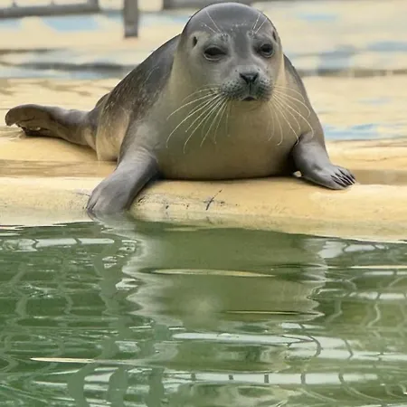 Haus Juist-norddeich